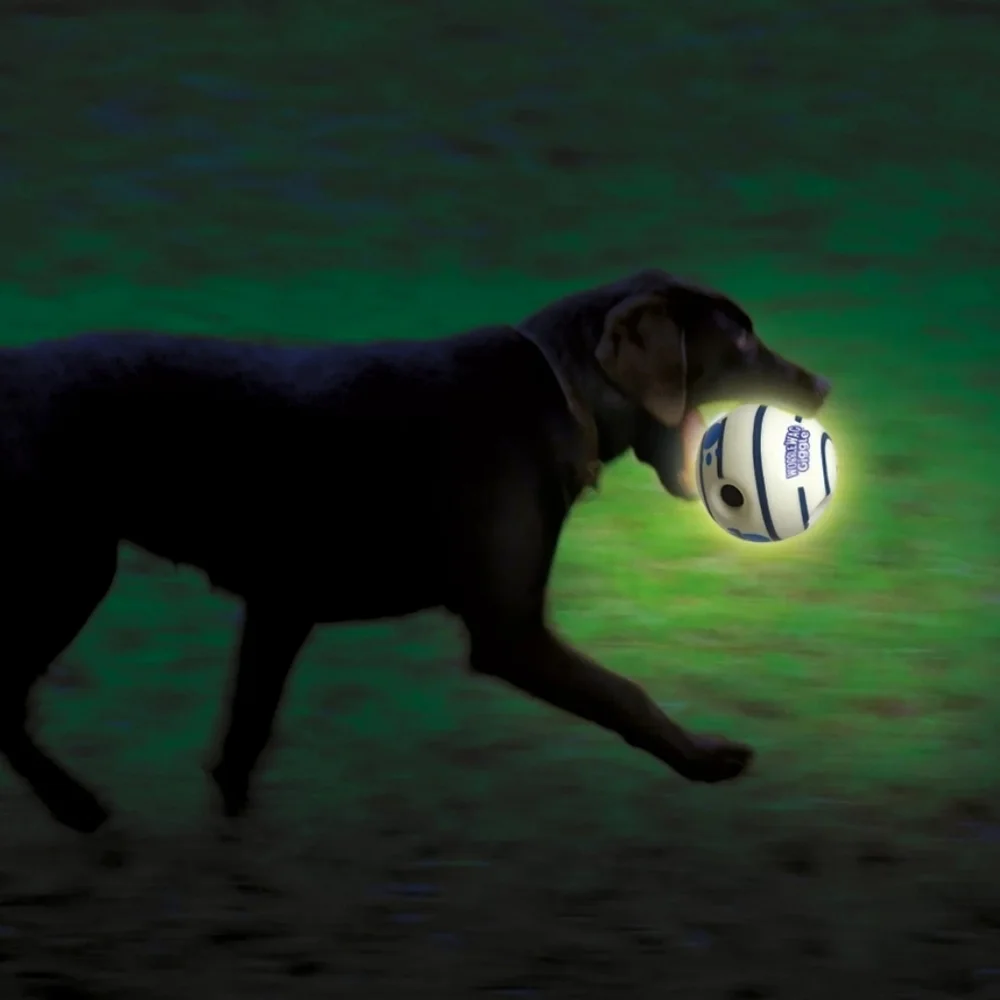 Wobble Wag Giggle Glow in the Dark Interactive Dog Toy